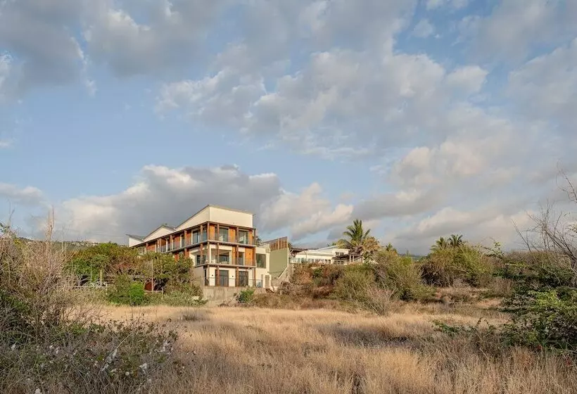 Le Moma By The Ocean