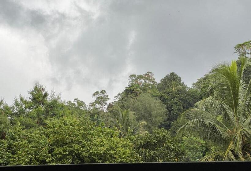 بنسيون 25 By Heaven