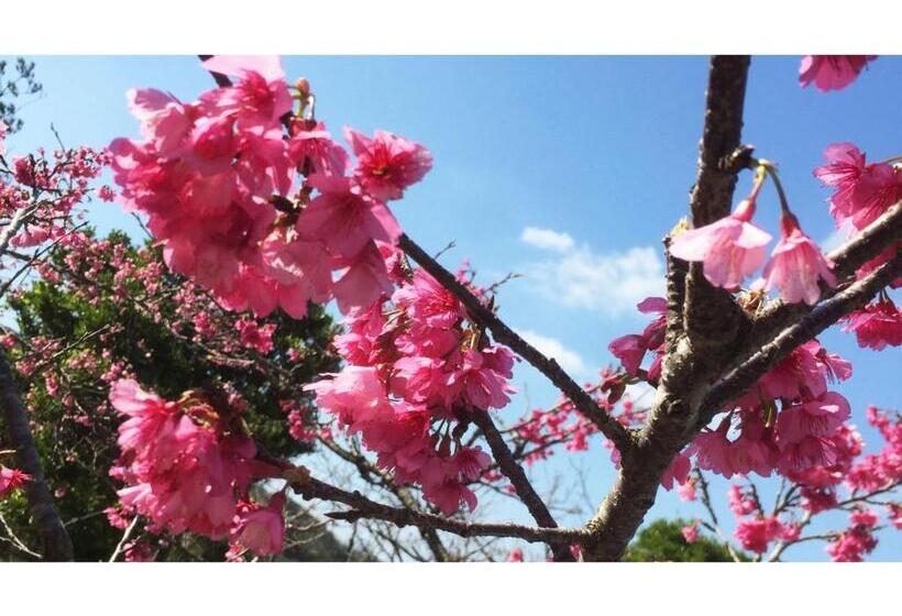 פנסיון Umi To Hoshizora No Chisana Yado Wassa Wassa Vacation Stay 86554v