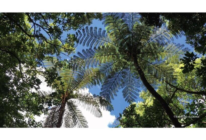 פנסיון Umi To Hoshizora No Chisana Yado Wassa Wassa Vacation Stay 86554v