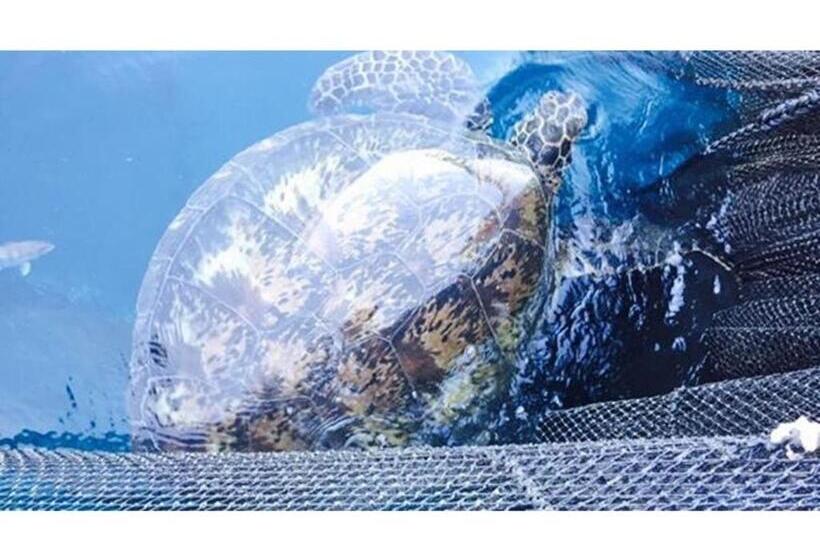 פנסיון Umi To Hoshizora No Chisana Yado Wassa Wassa Vacation Stay 86554v