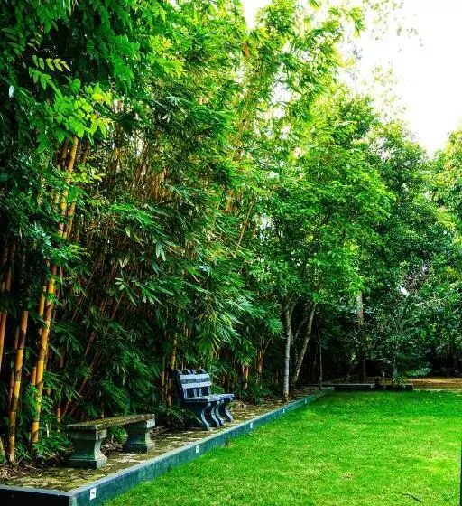 ペンション Villa Nadya Guesthouse