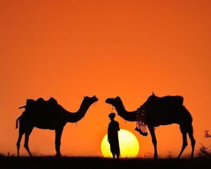 Resort Rising Star Desert Camp