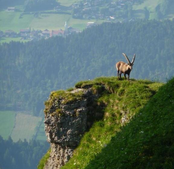 ホテル Dorfgasthof Adler