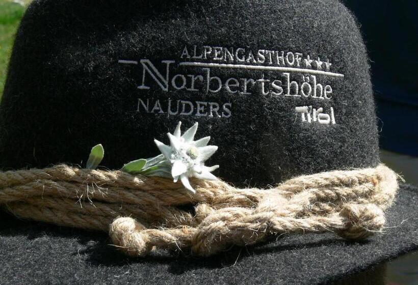 酒店 Alpengasthof Norbertshöhe Superior