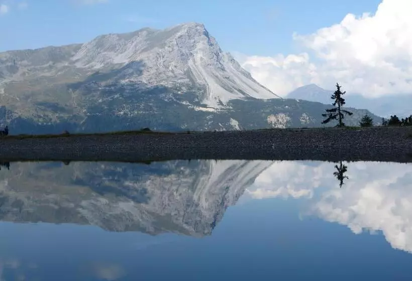 ホテル Alpengasthof Norbertshöhe Superior