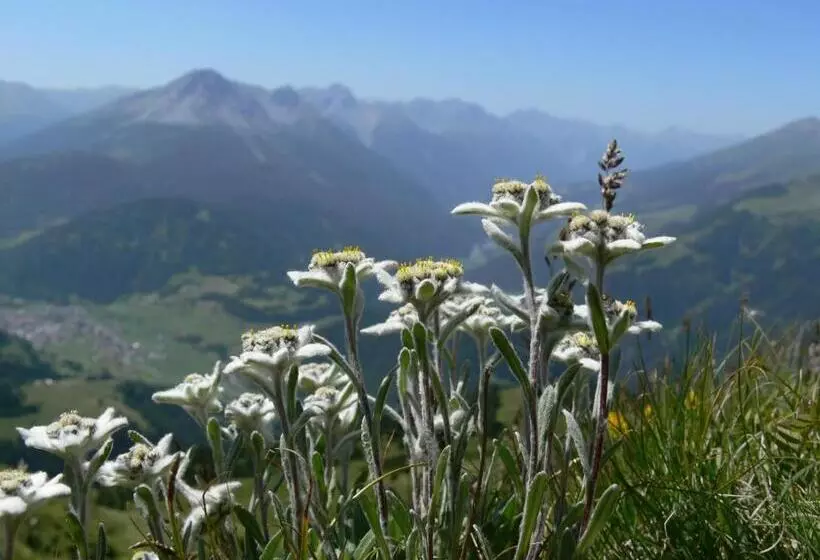 ホテル Alpengasthof Norbertshöhe Superior