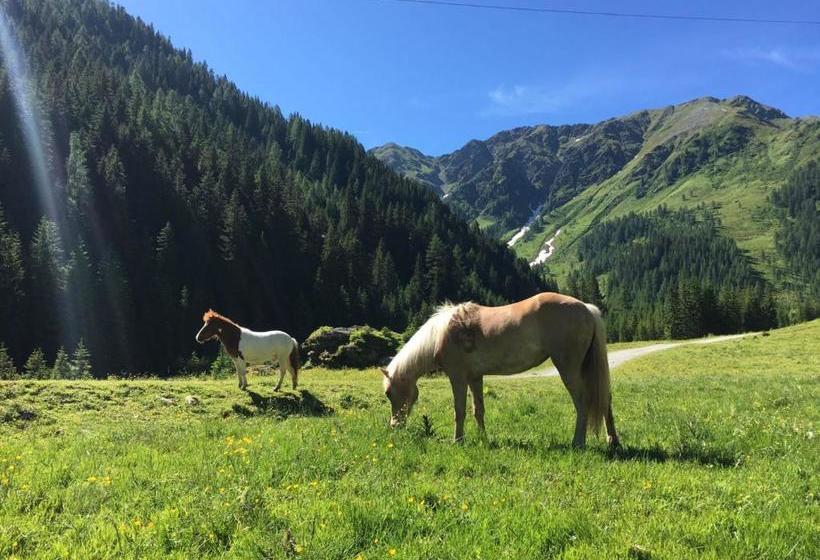 호텔 Bauernhof Annewanter