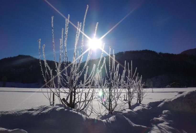 酒店 Gästehaus Appartements Egender