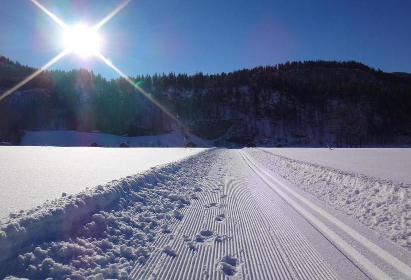 酒店 Gästehaus Appartements Egender