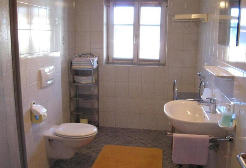 Отель Haus Bilgeri