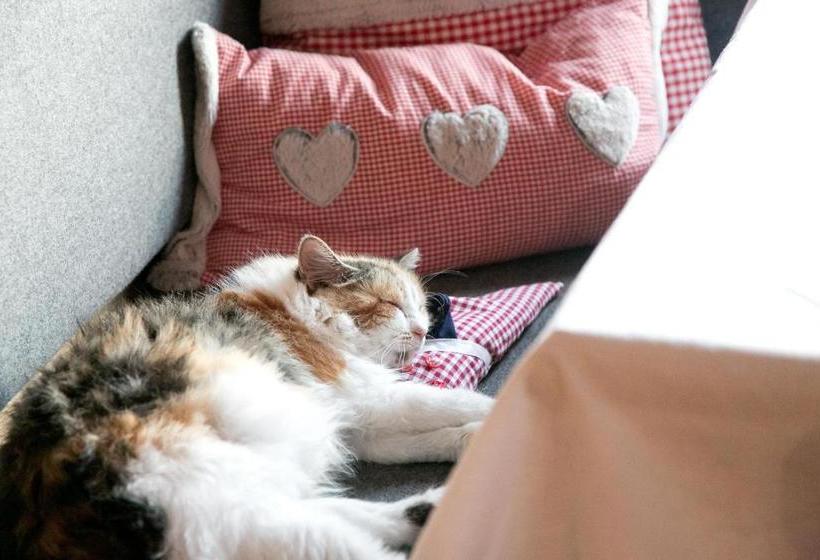 ホテル Appartement Ferienhof Ortnergut