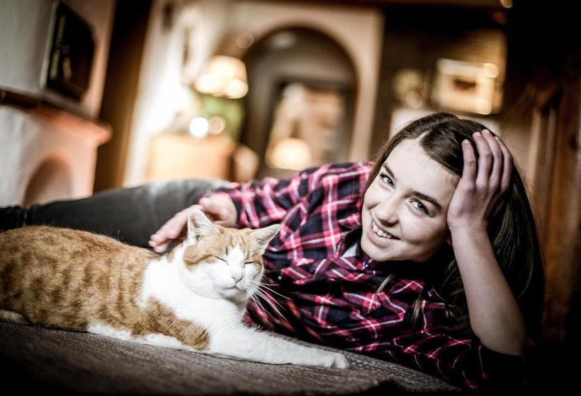 ホテル Appartement Ferienhof Ortnergut