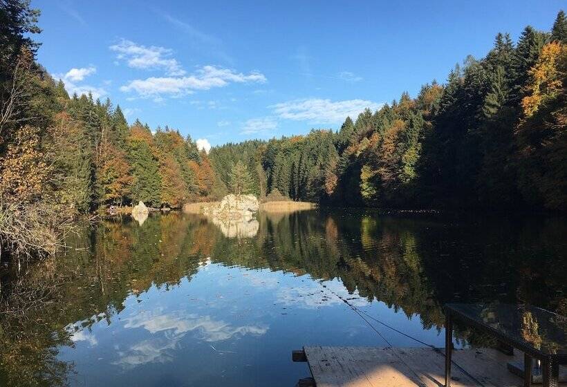 호텔 Pension Edelweiss