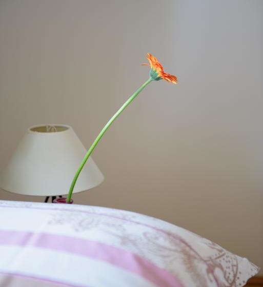 酒店 Villa Ars Vivendi