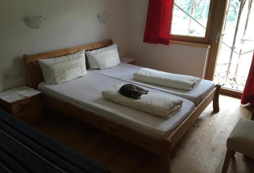 פנסיון Alpenrose Apart