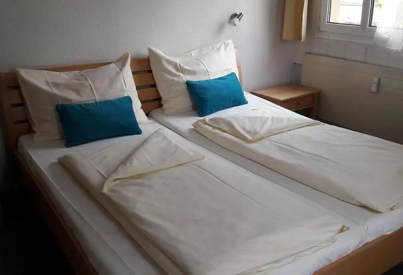 Stadthotel Helvetia
