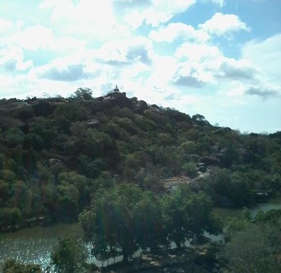 Hostel Nineart Homes