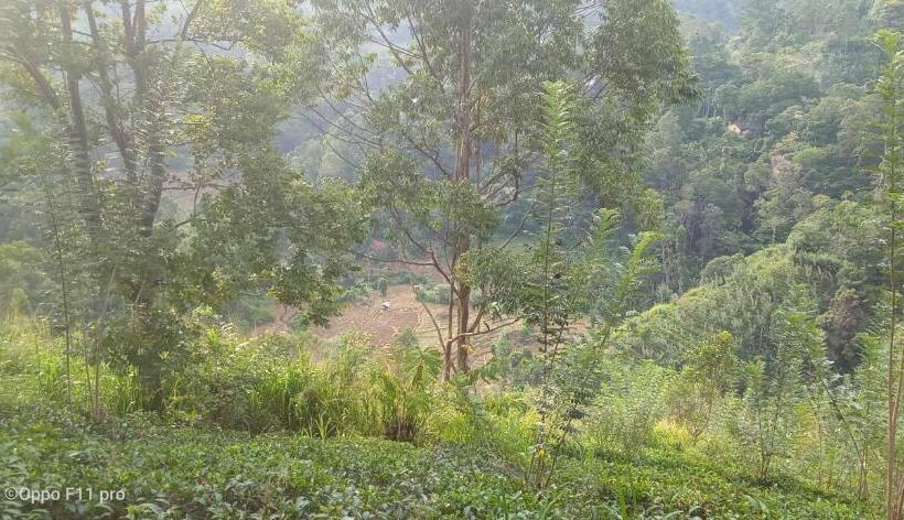 Hostel Nineart Homes