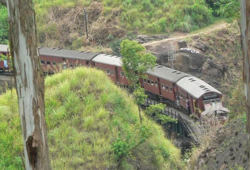 Hostel Nineart Homes