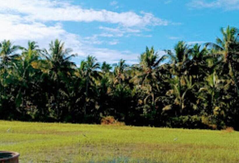 酒店 Rehoboth Resort, Malvan