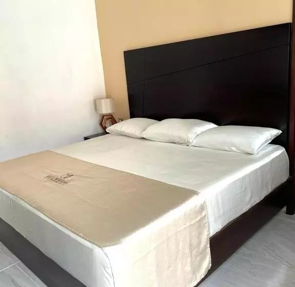 Kasa Morelos Hotel Boutique