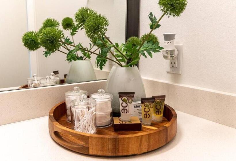 Spacioustwo Bdrm2bathrmlaundrygympaid Parking