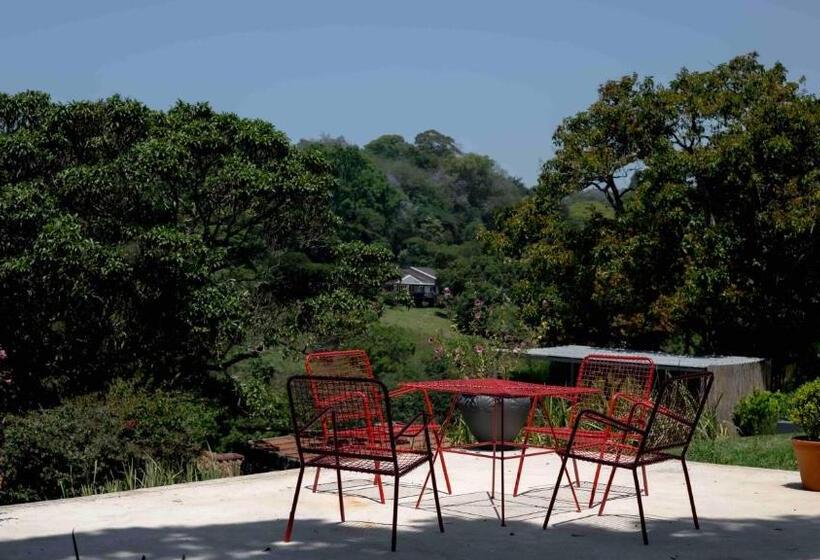 ベッドアンドブレックファースト Satoris