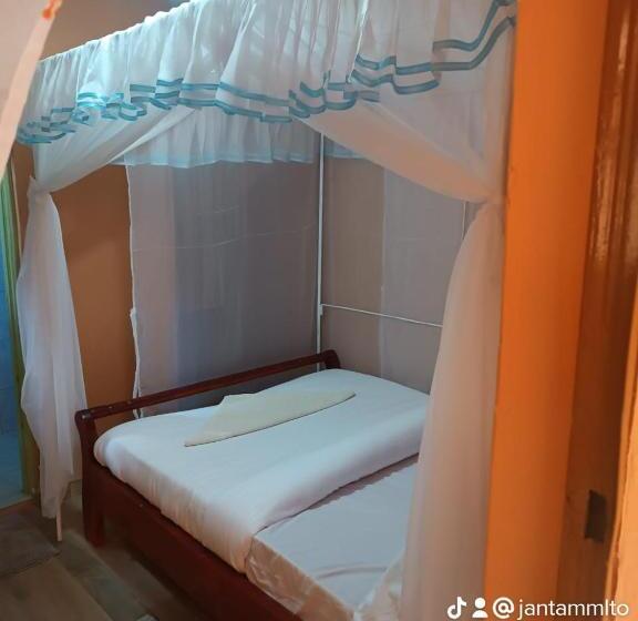 تختخواب و صبحانه The White Rock 2023