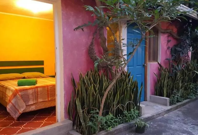 هتل کپسول Margaritas Hostel