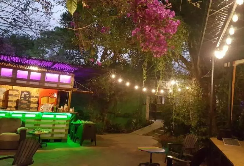 هتل کپسول Margaritas Hostel
