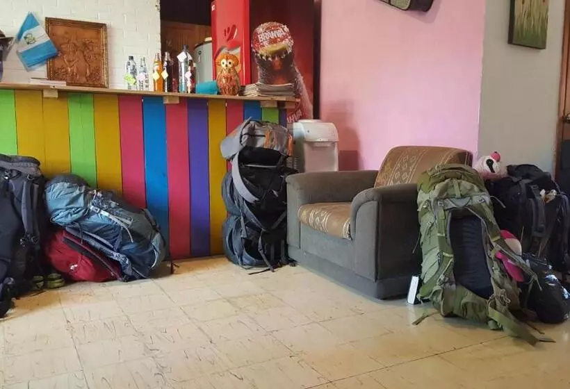 هتل کپسول Margaritas Hostel