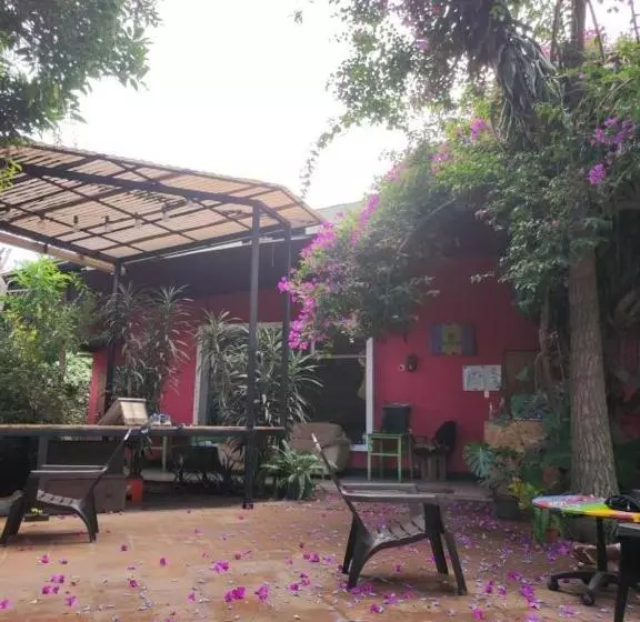 هتل کپسول Margaritas Hostel