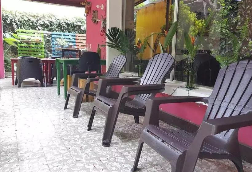 هتل کپسول Margaritas Hostel