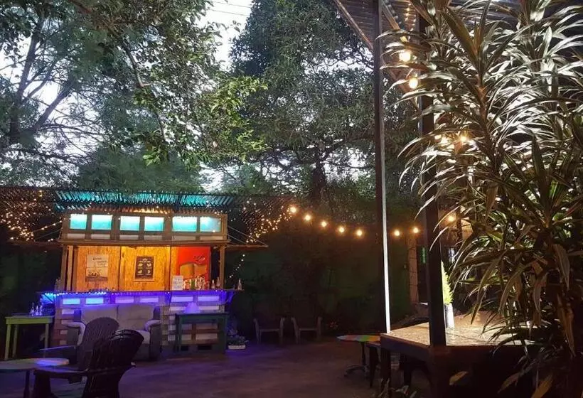 هتل کپسول Margaritas Hostel