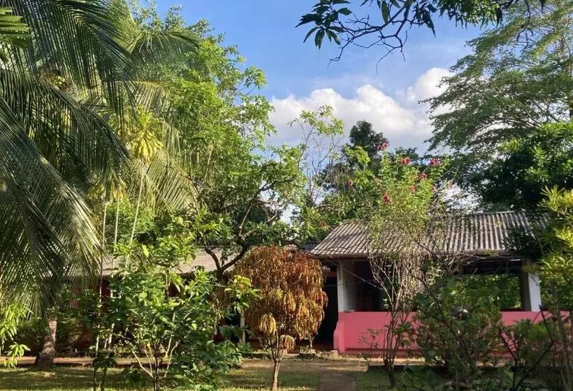 Kandalama Hostel