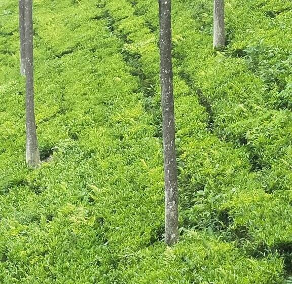 פנסיון Blue Hills Castle