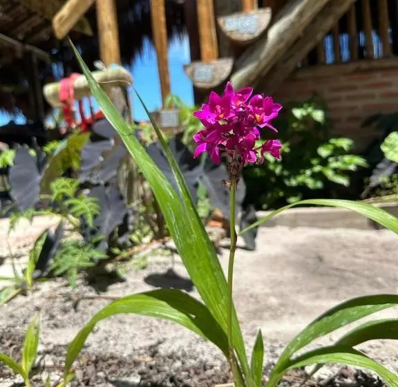 ペンション Casa Chão