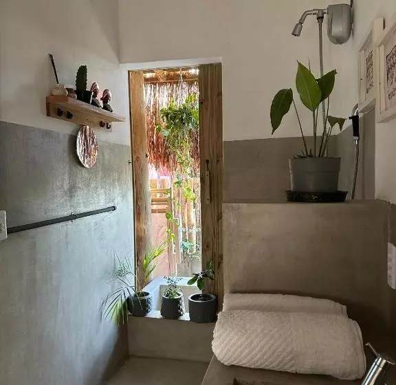 ペンション Casa Chão