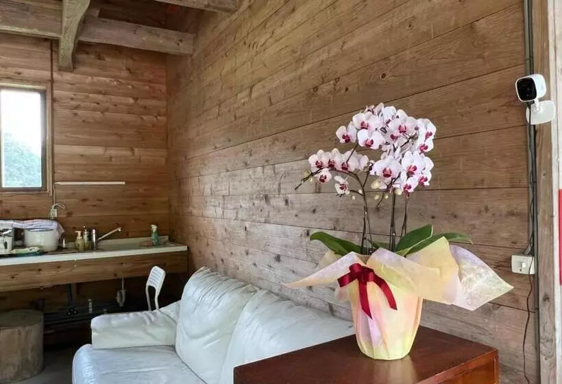 ペンション Oasis Minamiboso   Vacation Stay 04676v