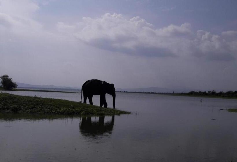 Hotel Leel’s Safari Cottage