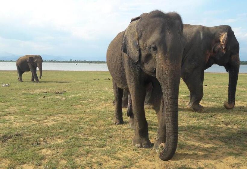 Hotel Leel’s Safari Cottage