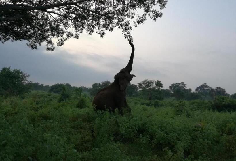 Hotel Leel’s Safari Cottage