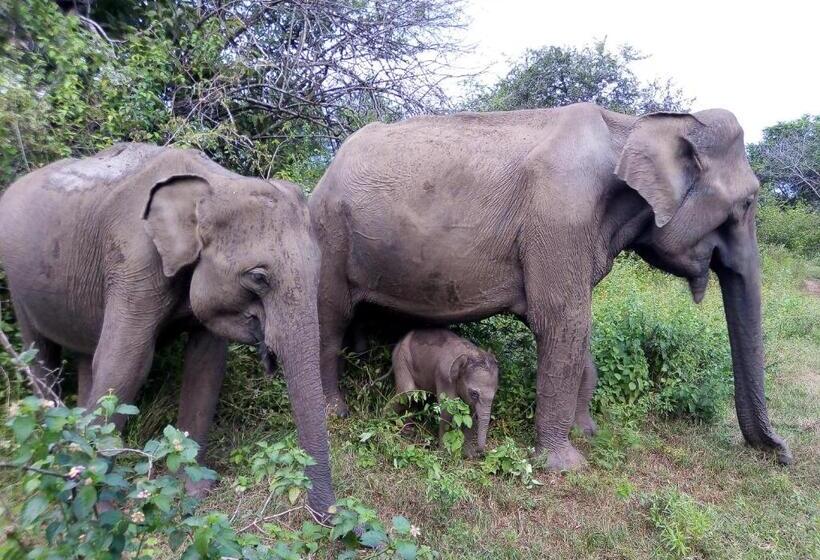 Hotel Leel’s Safari Cottage