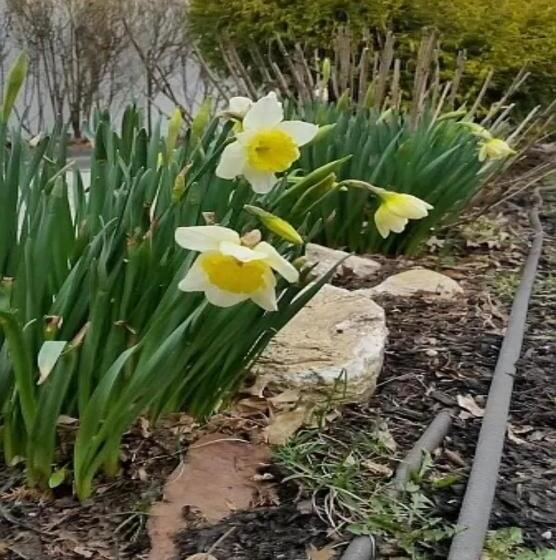 Пансион Room In House Charming Private Double Room Complete3