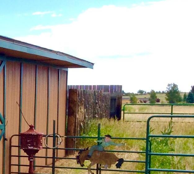 Trail Boss King Ensuite Prairie Rose B&b 1200 Sq Ft Suite