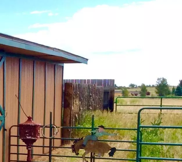 Trail Boss King Ensuite Prairie Rose B&b   1200 Sq Ft Suite