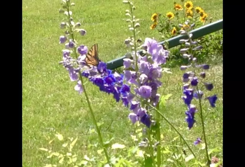 Trail Boss King Ensuite Prairie Rose B&b   1200 Sq Ft Suite