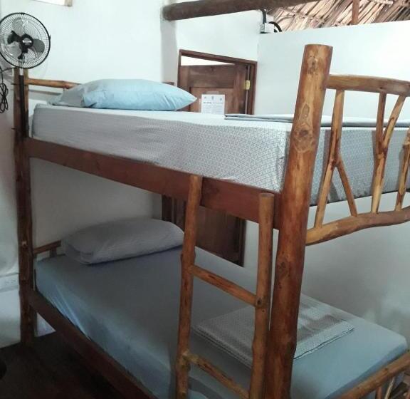 Backpackers Hostel