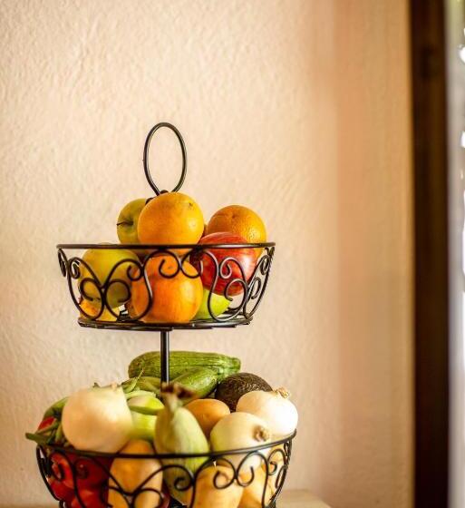 Bed and Breakfast Colonial Villa Coyoacan